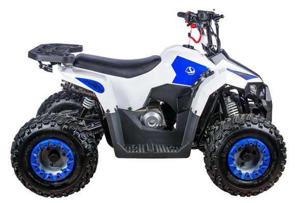 Квадроцикл YACOTA RAPOSA pitbikemarket.ru