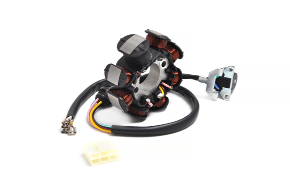 Статор генератора 165FMM (CG/CB) 250см3 ZS X-TECH pitbikemarket.ru