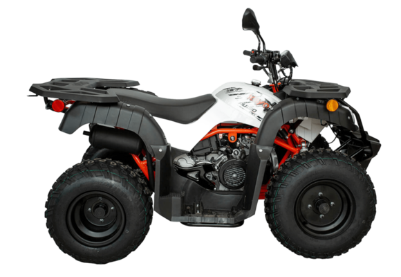 Квадрицикл KAYO AU150 CVT (белый пластик 2024 г.) (ПТС) pitbikemarket.ru